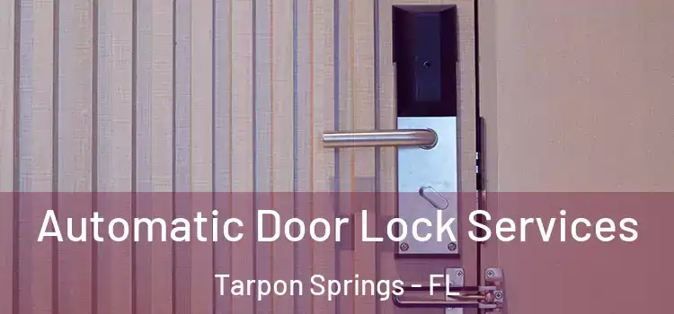 Automatic Door Lock Services Tarpon Springs - FL