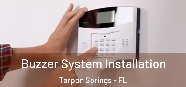 Buzzer System Installation Tarpon Springs - FL