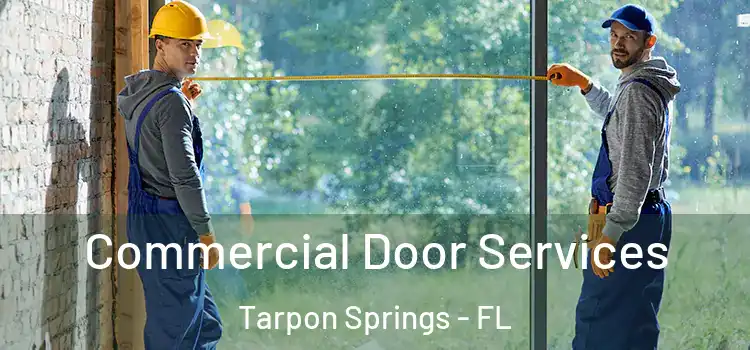 Commercial Door Services Tarpon Springs - FL