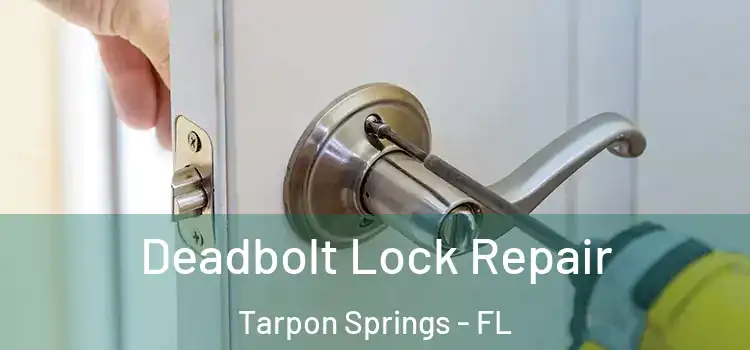 Deadbolt Lock Repair Tarpon Springs - FL