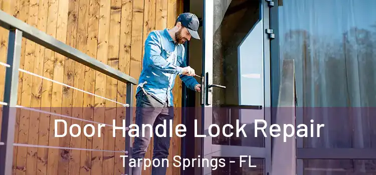 Door Handle Lock Repair Tarpon Springs - FL