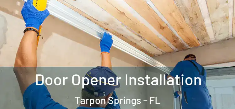 Door Opener Installation Tarpon Springs - FL
