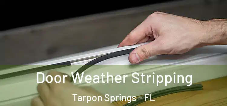 Door Weather Stripping Tarpon Springs - FL