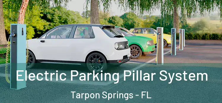 Electric Parking Pillar System Tarpon Springs - FL