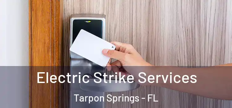  Electric Strike Services Tarpon Springs - FL