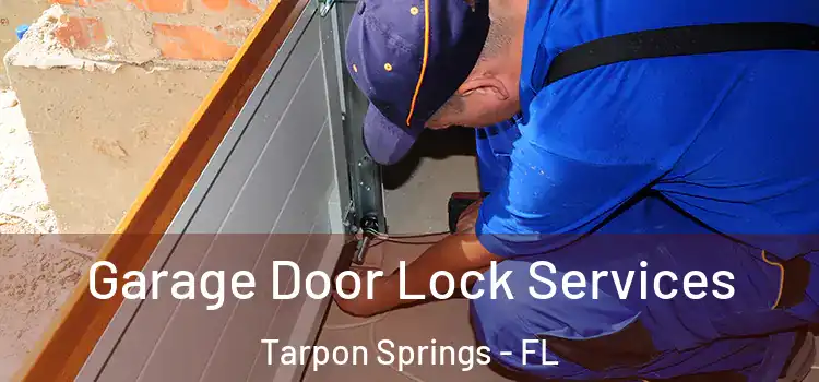 Garage Door Lock Services Tarpon Springs - FL
