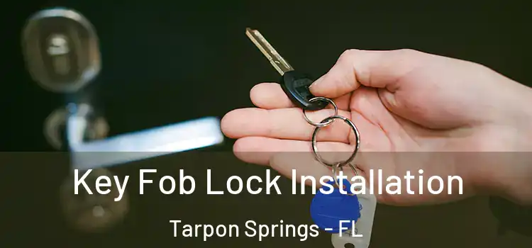 Key Fob Lock Installation Tarpon Springs - FL