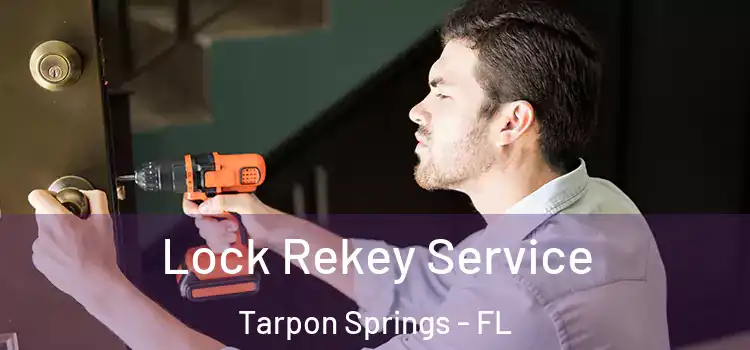 Lock Rekey Service Tarpon Springs - FL