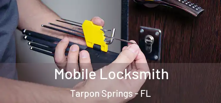 Mobile Locksmith Tarpon Springs - FL