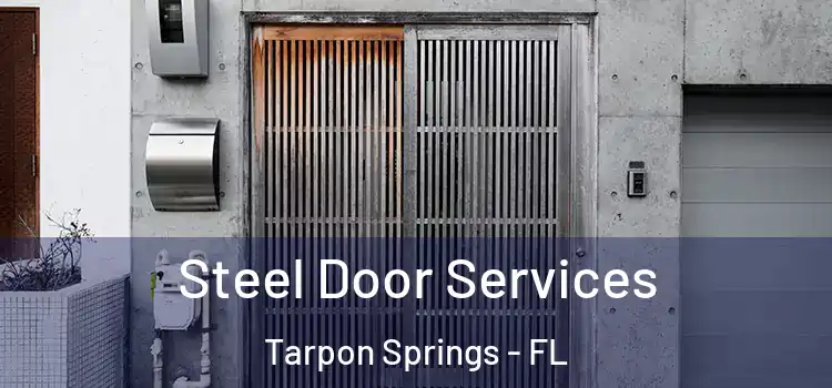 Steel Door Services Tarpon Springs - FL